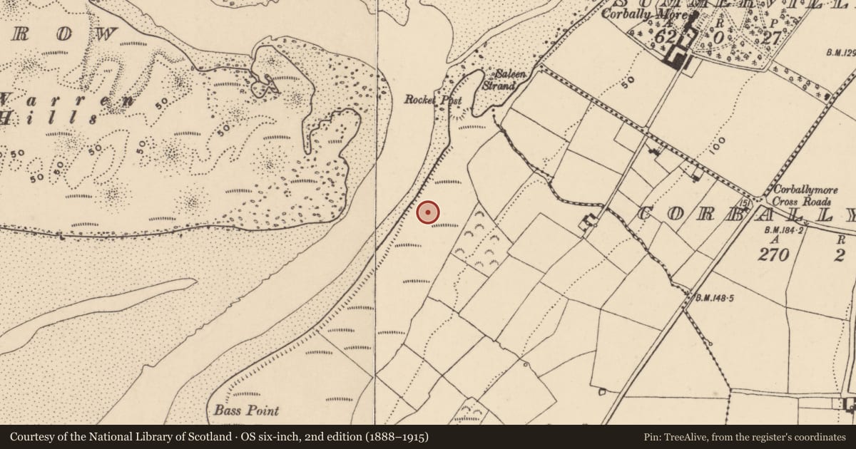 Ordnance Survey six-inch map, 2nd edition (1888–1915) covering the location of Burnt spread, Lisselty, County Waterford, with a pin at the register's coordinates
