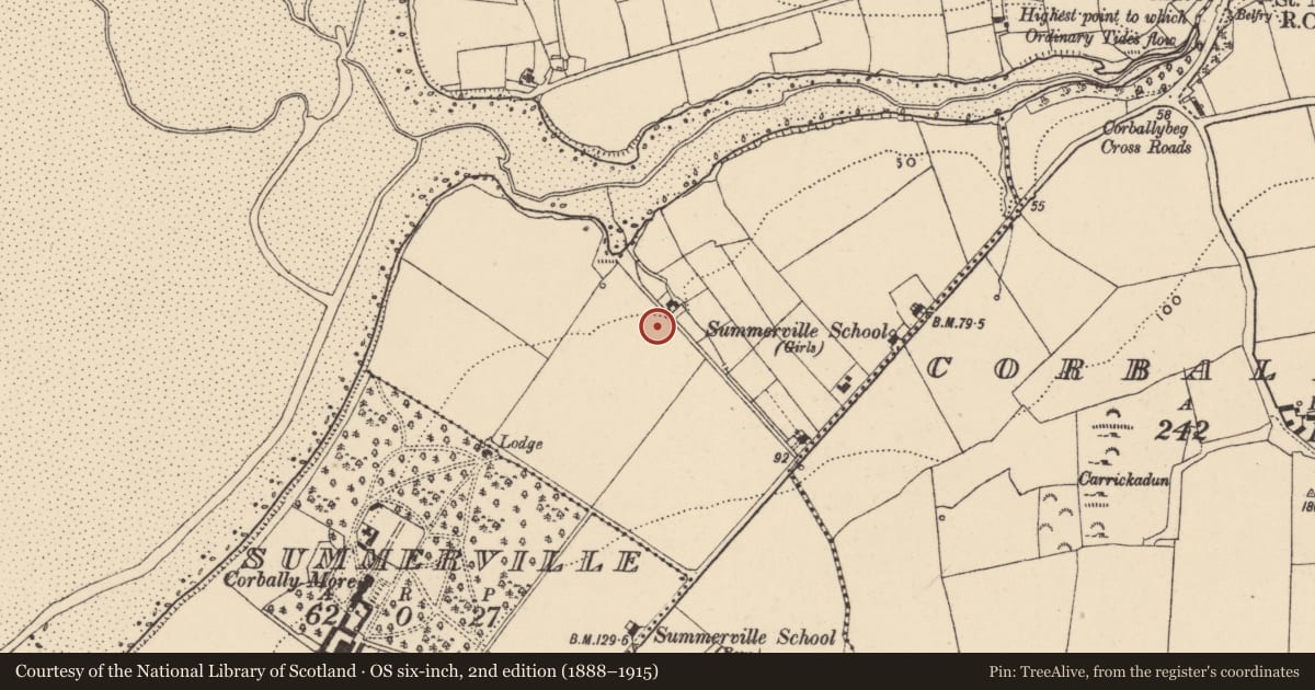Ordnance Survey six-inch map, 2nd edition (1888–1915) covering the location of Enclosure, Corbally More, County Waterford, with a pin at the register's coordinates