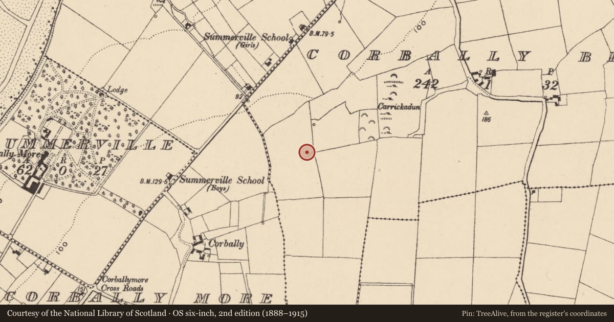 Ordnance Survey six-inch map, 2nd edition (1888–1915) covering the location of Cist, Corbally Beg, County Waterford, with a pin at the register's coordinates
