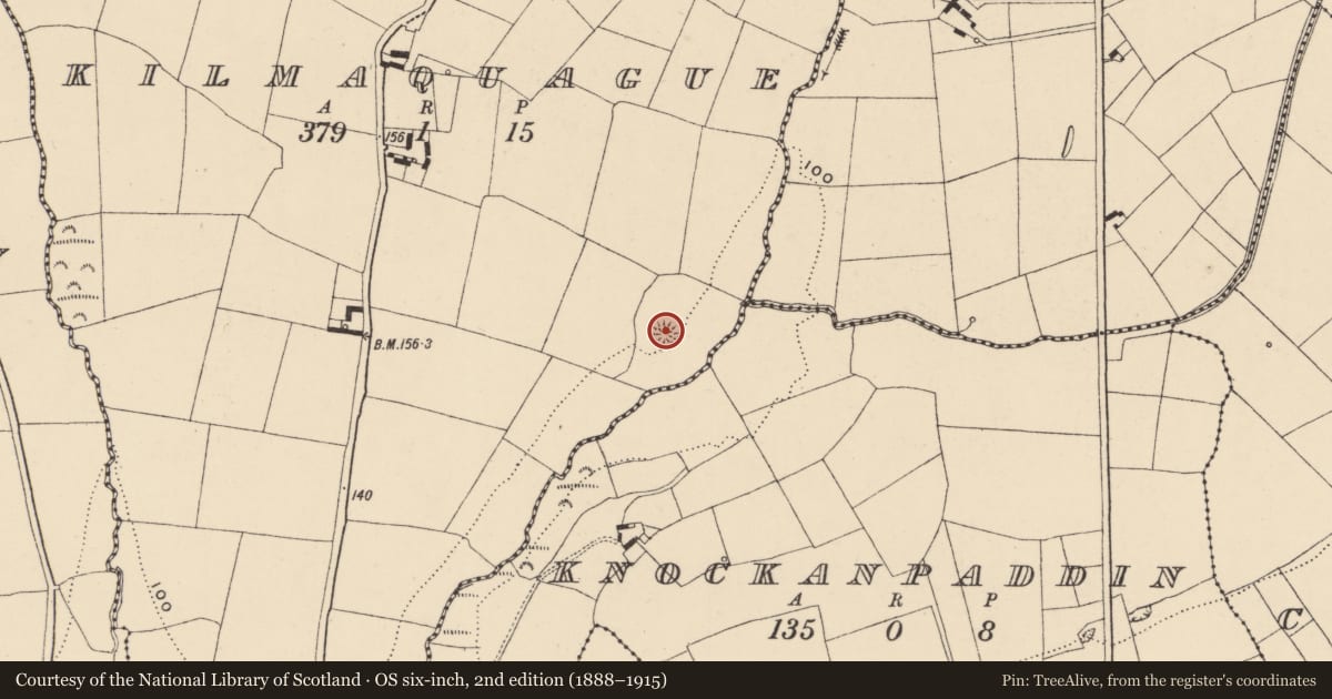 Ordnance Survey six-inch map, 2nd edition (1888–1915) covering the location of Ringfort - unclassified, Kilmaquague, County Waterford, with a pin at the register's coordinates