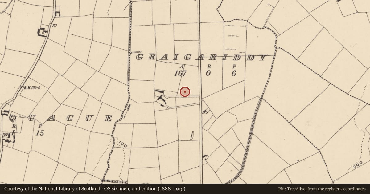 Ordnance Survey six-inch map, 2nd edition (1888–1915) covering the location of Enclosure, Graigariddy, County Waterford, with a pin at the register's coordinates