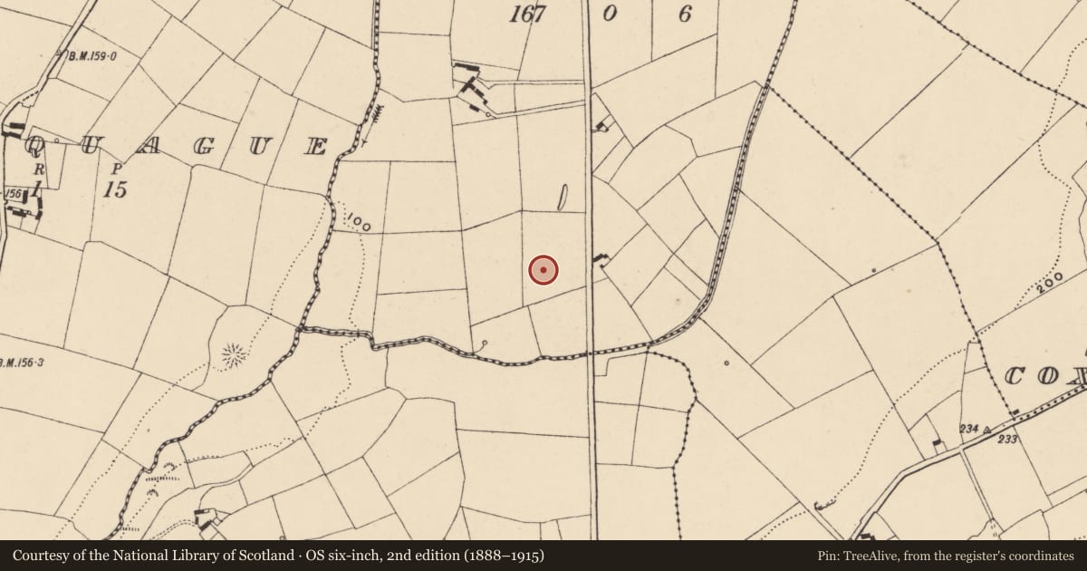 Ordnance Survey six-inch map, 2nd edition (1888–1915) covering the location of Enclosure, Graigariddy, County Waterford, with a pin at the register's coordinates