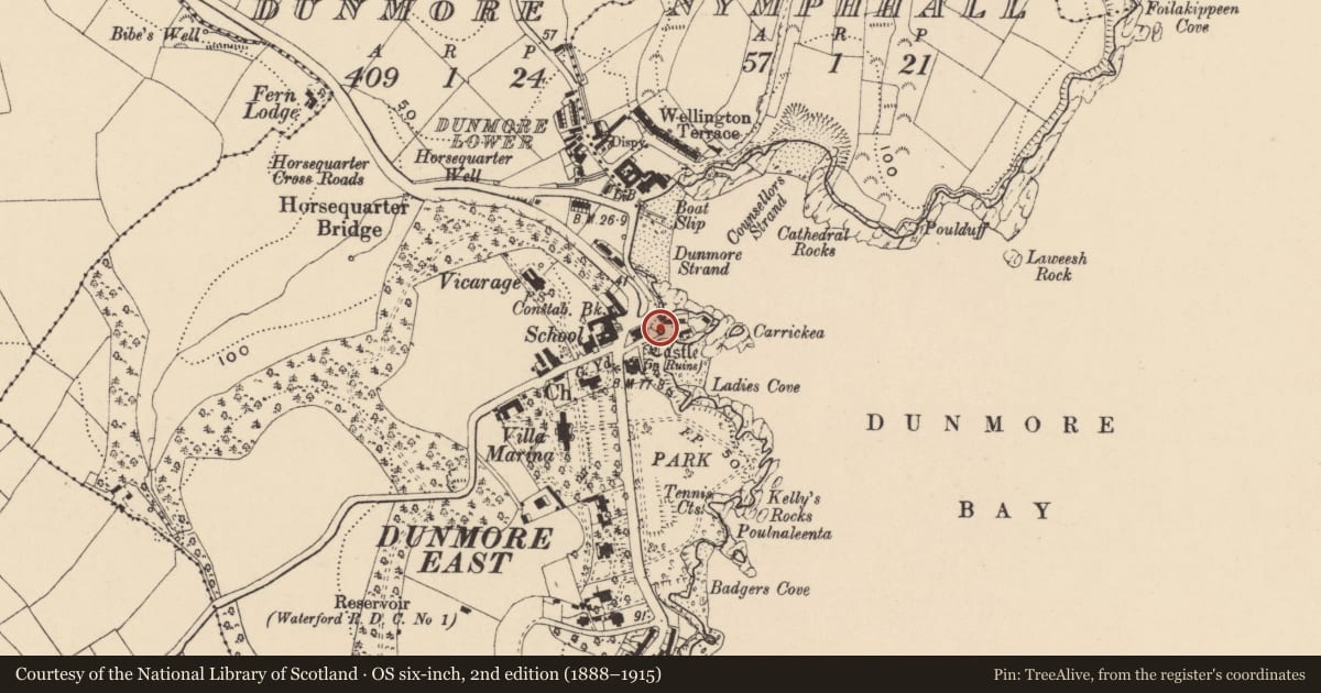 Ordnance Survey six-inch map, 2nd edition (1888–1915) covering the location of Castle - Anglo-Norman masonry castle, Dunmore, County Waterford, with a pin at the register's coordinates