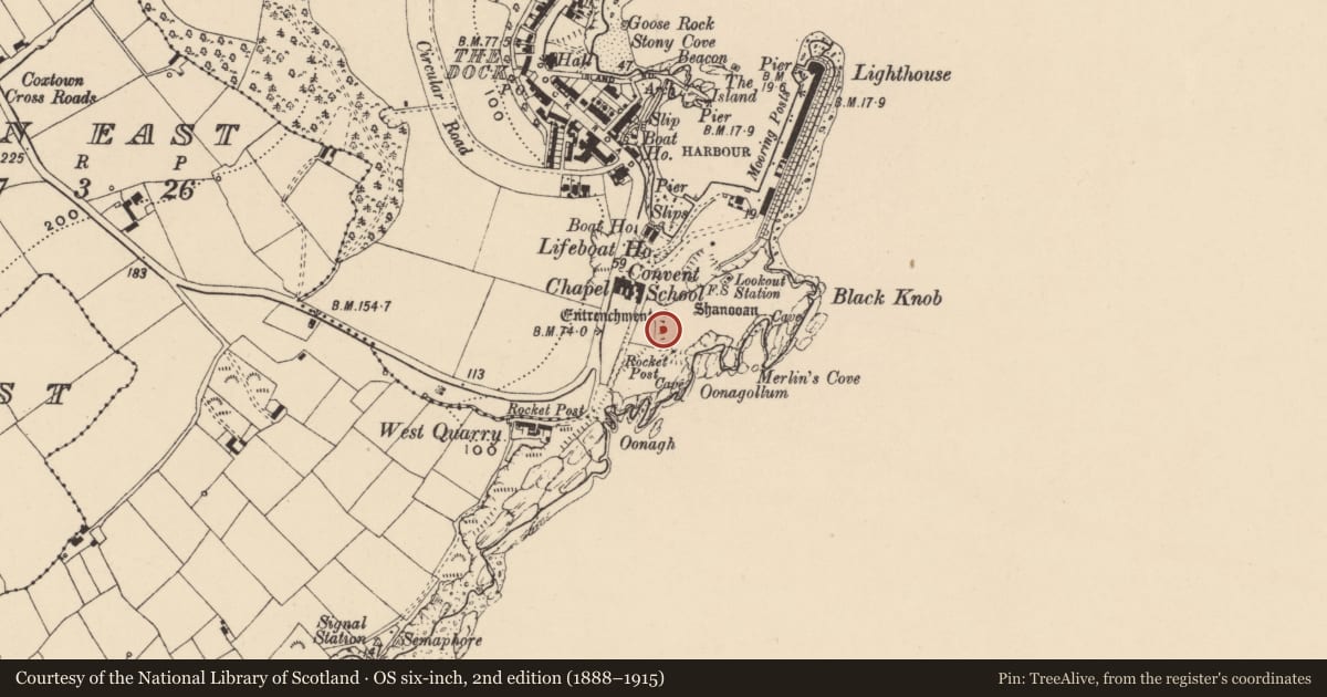 Ordnance Survey six-inch map, 2nd edition (1888–1915) covering the location of Hut site, Dunmore, County Waterford, with a pin at the register's coordinates
