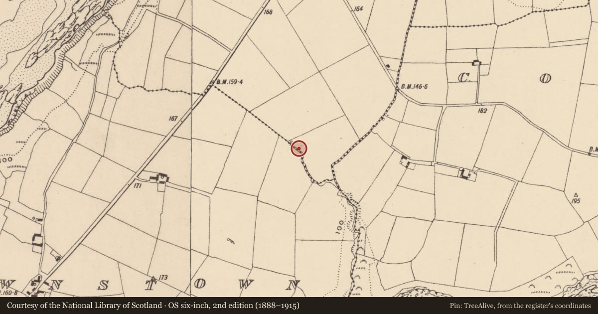 Ordnance Survey six-inch map, 2nd edition (1888–1915) covering the location of Ringfort - unclassified, Lisselty, County Waterford, with a pin at the register's coordinates