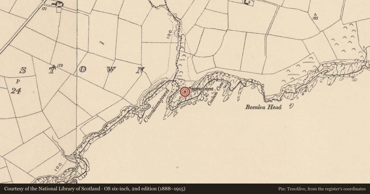 Ordnance Survey six-inch map, 2nd edition (1888–1915) covering the location of Promontory fort - coastal, Coolum (Gaultiere By., Corbally Par.), County Waterford, with a pin at the register's coordinates