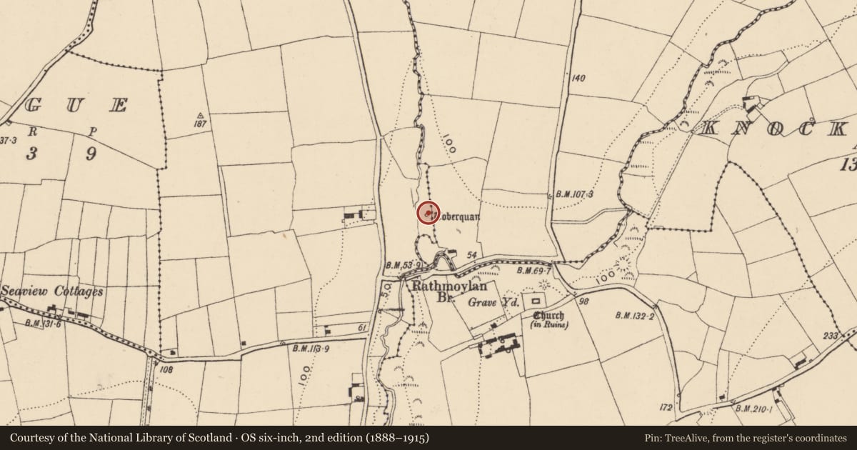 Ordnance Survey six-inch map, 2nd edition (1888–1915) covering the location of Ritual site - holy well, Ballymacaw, County Waterford, with a pin at the register's coordinates