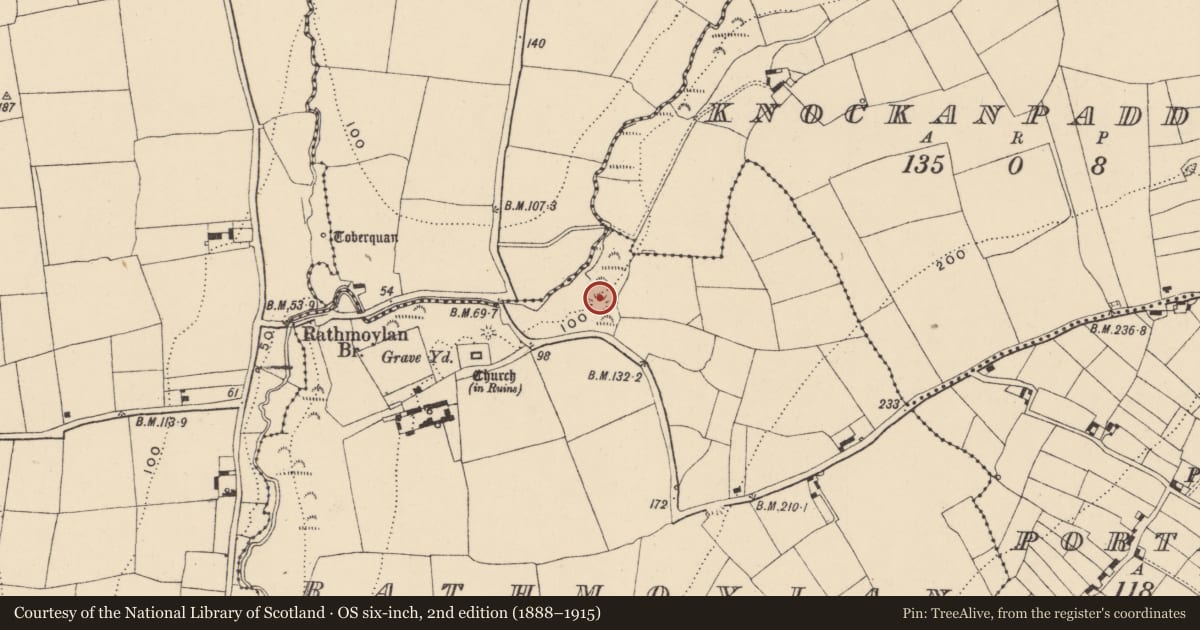 Ordnance Survey six-inch map, 2nd edition (1888–1915) covering the location of Ringfort - rath, Rathmoylan, County Waterford, with a pin at the register's coordinates