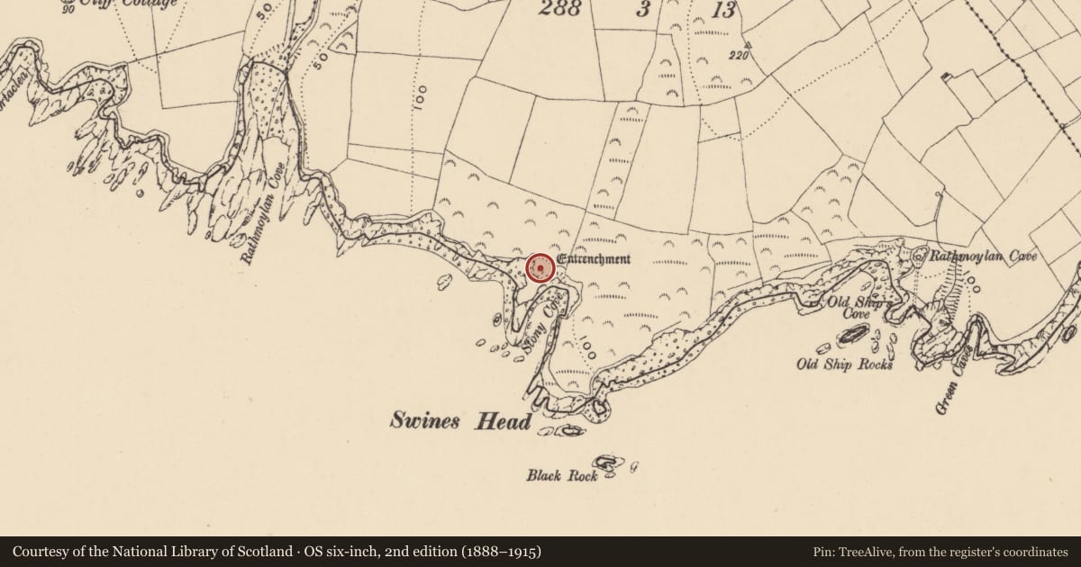 Ordnance Survey six-inch map, 2nd edition (1888–1915) covering the location of Promontory fort - coastal, Rathmoylan, County Waterford, with a pin at the register's coordinates