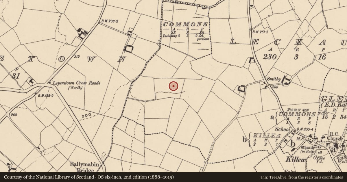Ordnance Survey six-inch map, 2nd edition (1888–1915) covering the location of Bullaun stone, Leckaun, County Waterford, with a pin at the register's coordinates
