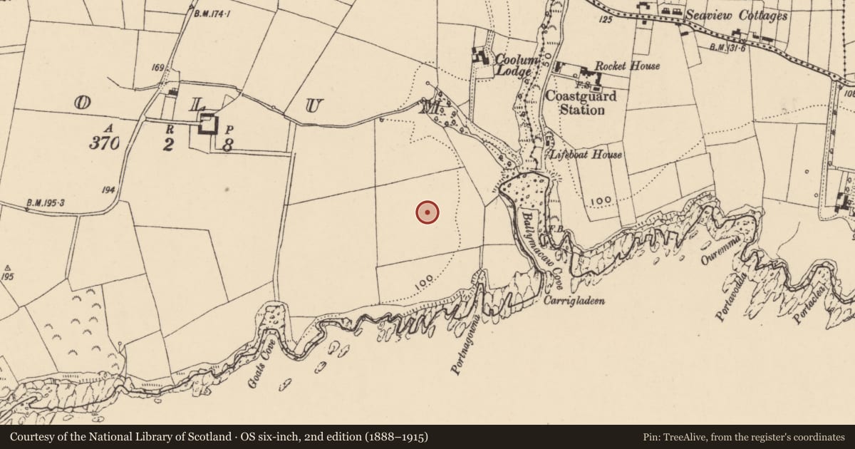 Ordnance Survey six-inch map, 2nd edition (1888–1915) covering the location of Settlement deserted - medieval, Coolum (Gaultiere By., Corbally Par.), County Waterford, with a pin at the register's coordinates