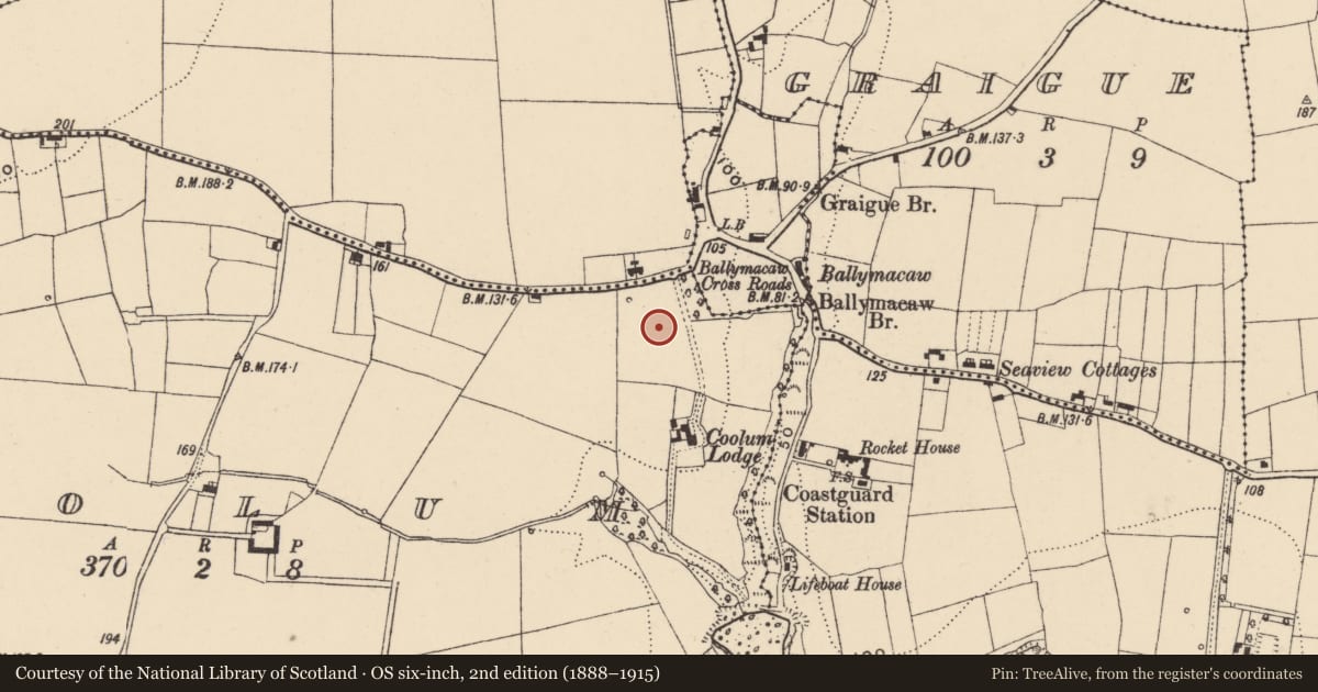 Ordnance Survey six-inch map, 2nd edition (1888–1915) covering the location of Settlement cluster, Coolum (Gaultiere By., Rathmoylan Par.), County Waterford, with a pin at the register's coordinates