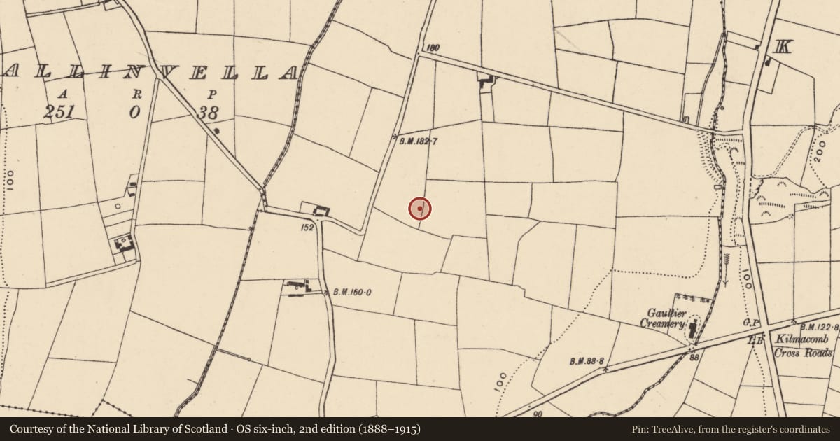 Ordnance Survey six-inch map, 2nd edition (1888–1915) covering the location of Enclosure, Ballynamoyntragh, County Waterford, with a pin at the register's coordinates