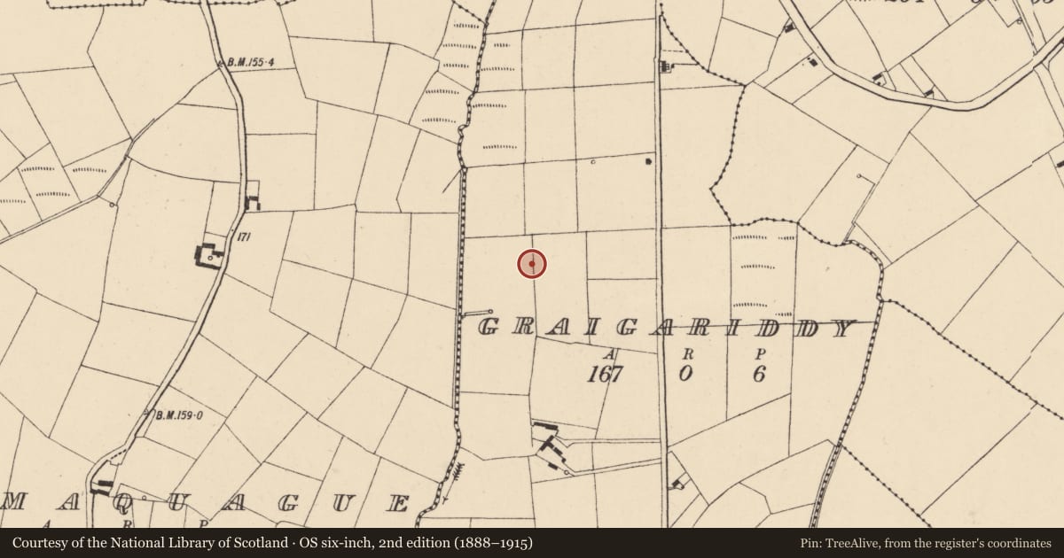 Ordnance Survey six-inch map, 2nd edition (1888–1915) covering the location of Enclosure, Graigariddy, County Waterford, with a pin at the register's coordinates
