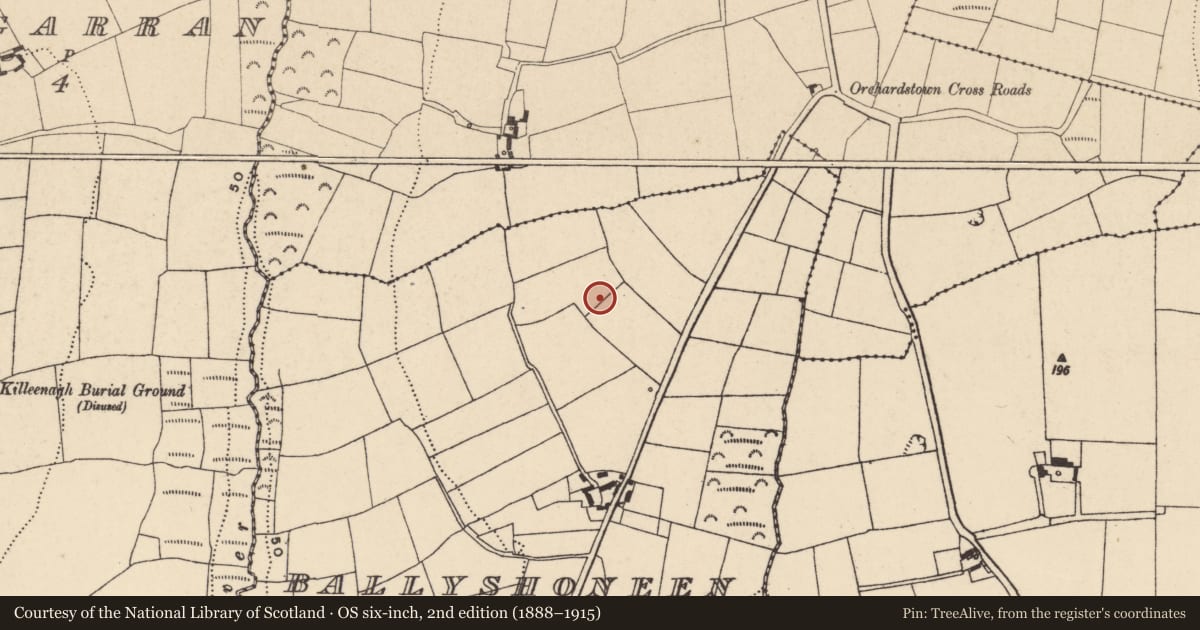 Ordnance Survey six-inch map, 2nd edition (1888–1915) covering the location of Enclosure, Ballyshoneen, County Waterford, with a pin at the register's coordinates