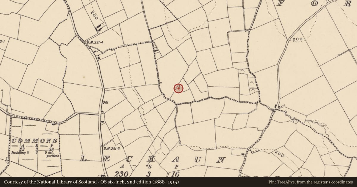 Ordnance Survey six-inch map, 2nd edition (1888–1915) covering the location of Enclosure, Knockavelish, County Waterford, with a pin at the register's coordinates