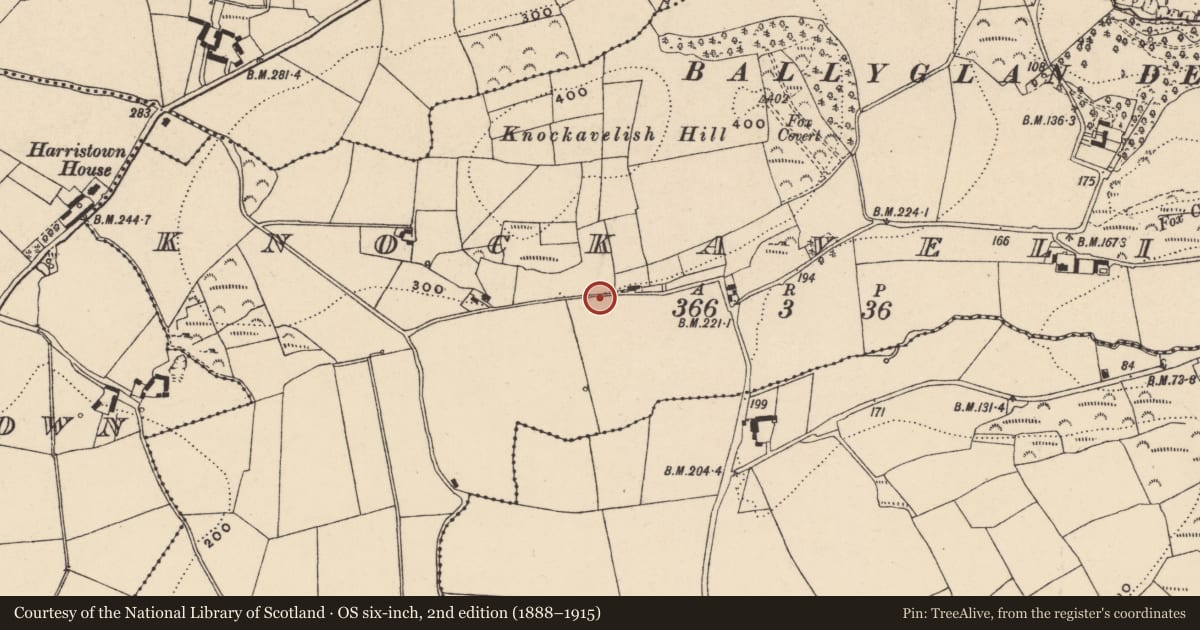 Ordnance Survey six-inch map, 2nd edition (1888–1915) covering the location of Enclosure, Knockavelish, County Waterford, with a pin at the register's coordinates