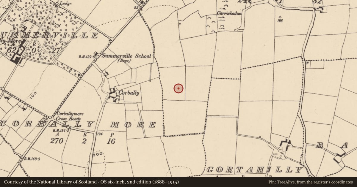 Ordnance Survey six-inch map, 2nd edition (1888–1915) covering the location of Enclosure, Corbally Beg, County Waterford, with a pin at the register's coordinates