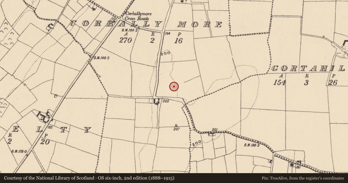 Ordnance Survey six-inch map, 2nd edition (1888–1915) covering the location of Standing stone, Corbally More, County Waterford, with a pin at the register's coordinates