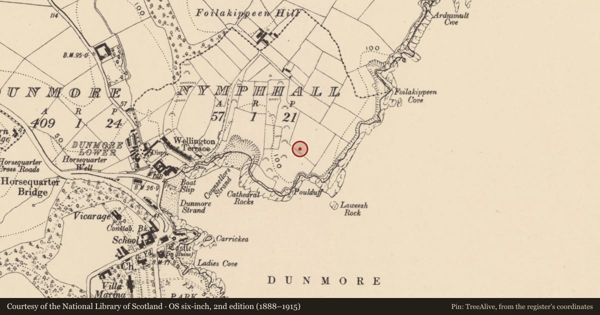 Ordnance Survey six-inch map, 2nd edition (1888–1915) covering the location of Promontory fort - coastal, Nymphhall, County Waterford, with a pin at the register's coordinates