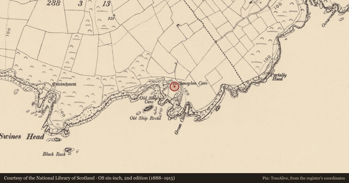 Ordnance Survey six-inch map, 2nd edition (1888–1915) covering the location of Promontory fort - coastal, Portally, County Waterford, with a pin at the register's coordinates