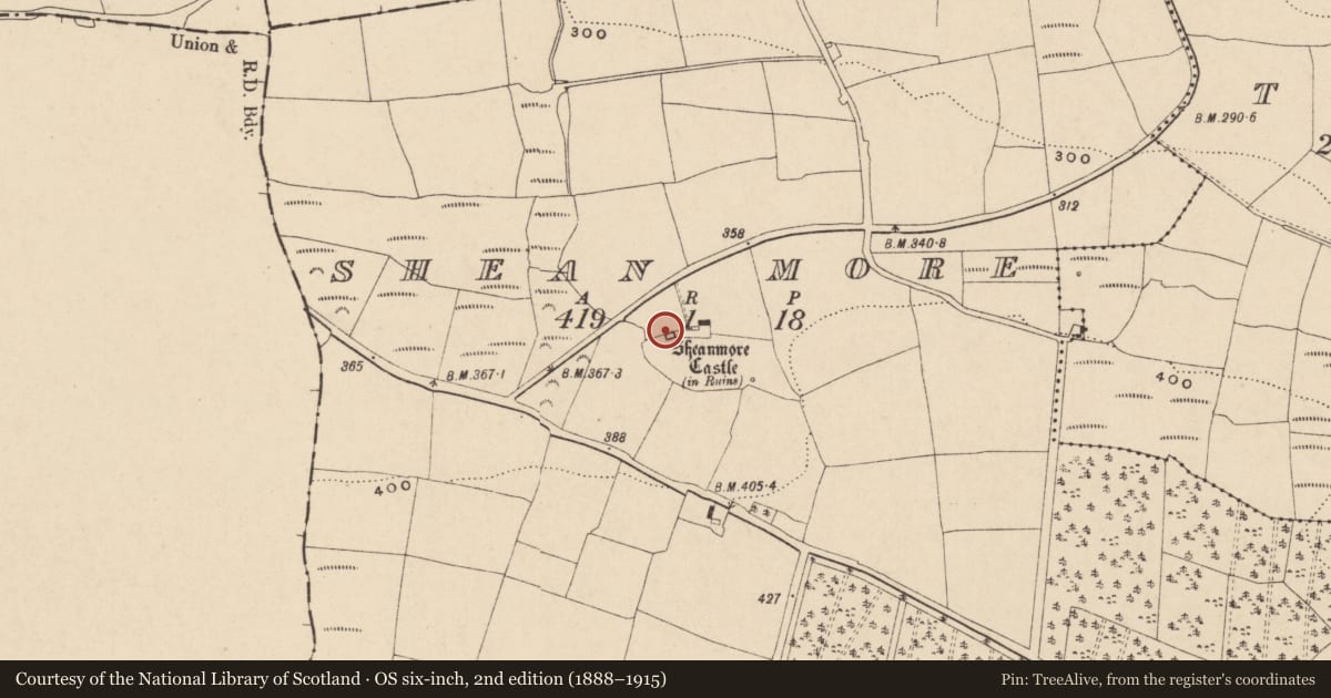 Ordnance Survey six-inch map, 2nd edition (1888–1915) covering the location of Castle - tower house, Shean More, County Waterford, with a pin at the register's coordinates
