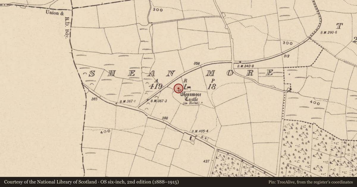 Ordnance Survey six-inch map, 2nd edition (1888–1915) covering the location of Bawn, Shean More, County Waterford, with a pin at the register's coordinates