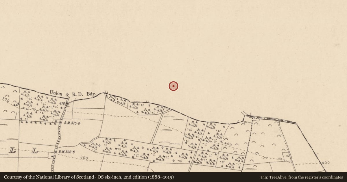Ordnance Survey six-inch map, 2nd edition (1888–1915) covering the location of Ringfort - rath, Shean More, County Waterford, with a pin at the register's coordinates