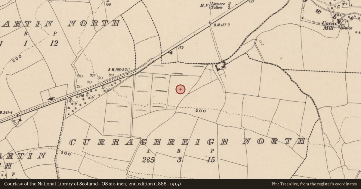 Ordnance Survey six-inch map, 2nd edition (1888–1915) covering the location of Ritual site - holy well, Curraghreigh North, County Waterford, with a pin at the register's coordinates