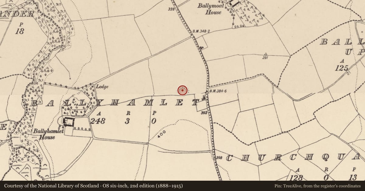 Ordnance Survey six-inch map, 2nd edition (1888–1915) covering the location of Enclosure, Ballyhamlet, County Waterford, with a pin at the register's coordinates