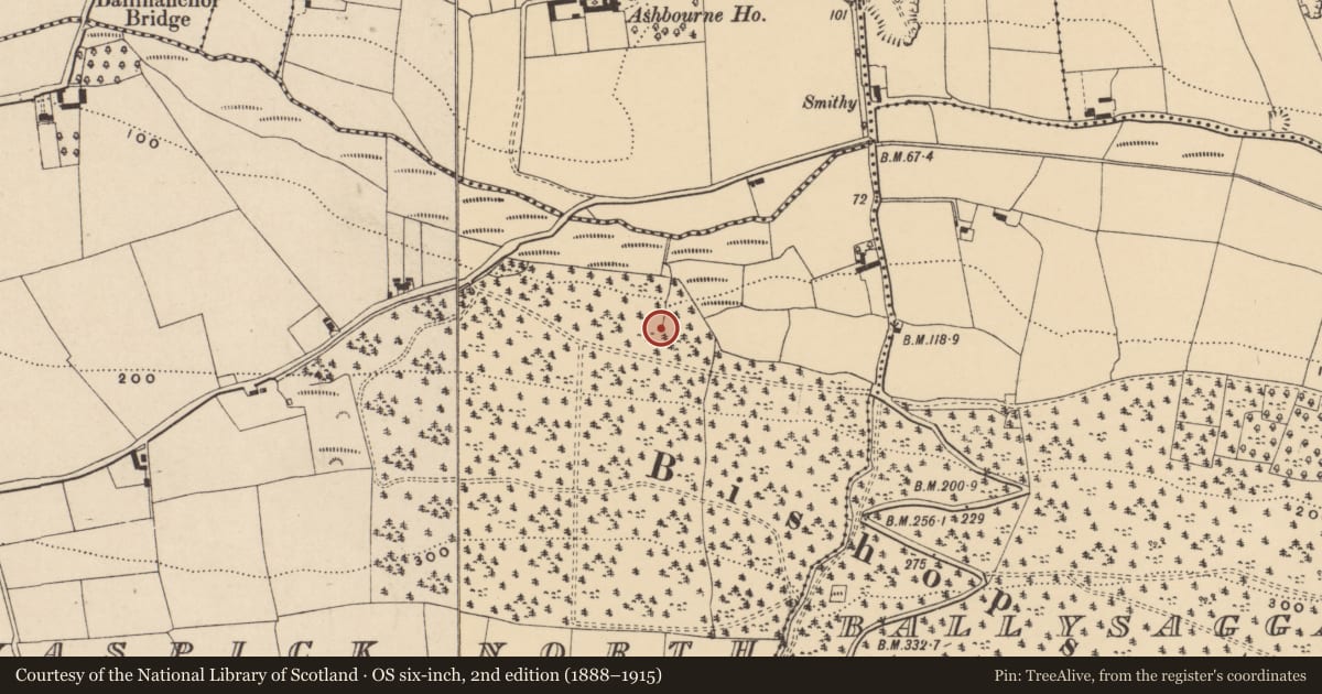 Ordnance Survey six-inch map, 2nd edition (1888–1915) covering the location of Ritual site - holy well, Ballinaspick North, County Waterford, with a pin at the register's coordinates