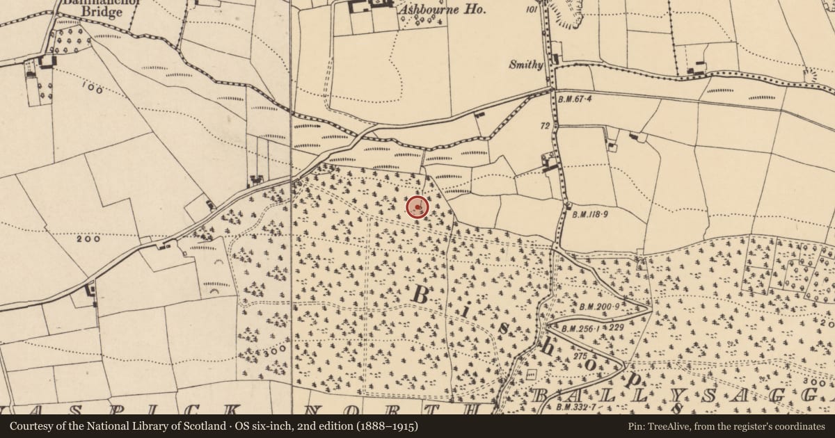 Ordnance Survey six-inch map, 2nd edition (1888–1915) covering the location of Penitential station, Ballinaspick North, County Waterford, with a pin at the register's coordinates