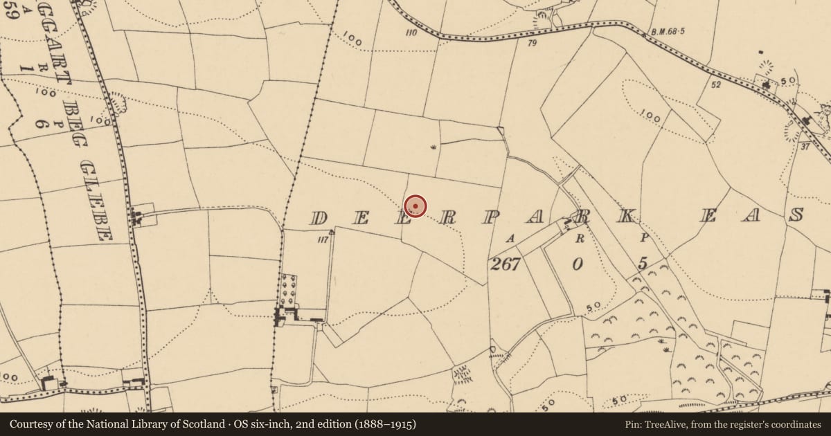 Ordnance Survey six-inch map, 2nd edition (1888–1915) covering the location of Ringfort - rath, Deerpark East, County Waterford, with a pin at the register's coordinates