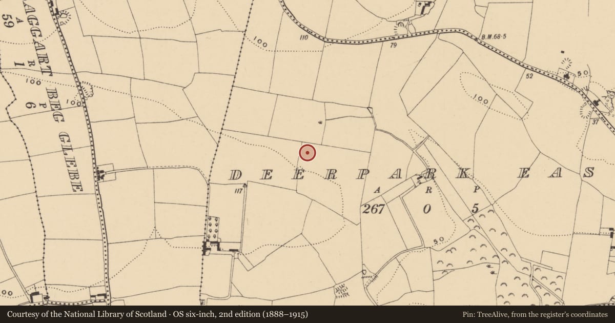 Ordnance Survey six-inch map, 2nd edition (1888–1915) covering the location of Souterrain, Deerpark East, County Waterford, with a pin at the register's coordinates