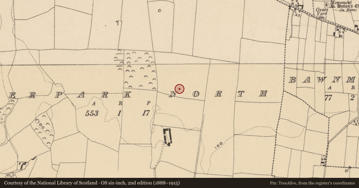 Ordnance Survey six-inch map, 2nd edition (1888–1915) covering the location of Ringfort - unclassified, Deerpark North, County Waterford, with a pin at the register's coordinates