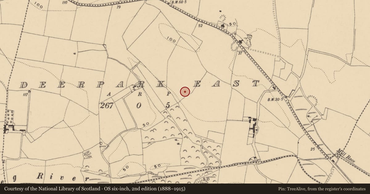 Ordnance Survey six-inch map, 2nd edition (1888–1915) covering the location of Ringfort - rath, Deerpark East, County Waterford, with a pin at the register's coordinates