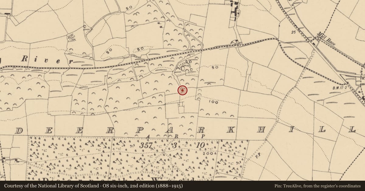 Ordnance Survey six-inch map, 2nd edition (1888–1915) covering the location of Road - road/trackway, Deerparkhill, Deerpark East, County Waterford, with a pin at the register's coordinates
