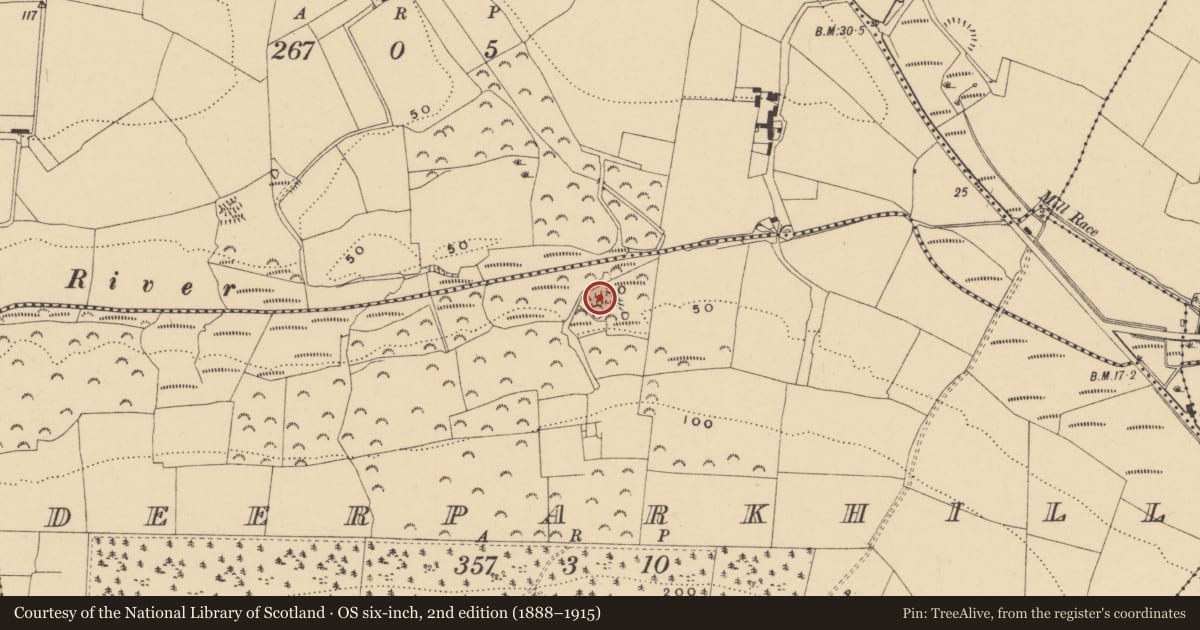 Ordnance Survey six-inch map, 2nd edition (1888–1915) covering the location of Mine, Deerparkhill, County Waterford, with a pin at the register's coordinates