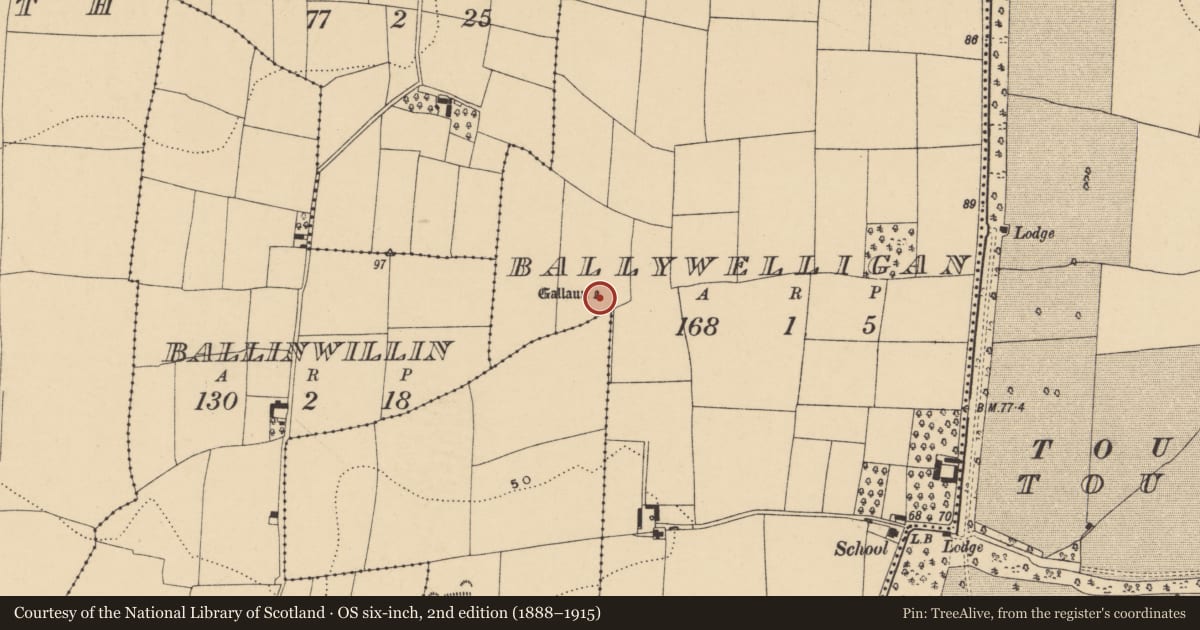 Ordnance Survey six-inch map, 2nd edition (1888–1915) covering the location of Standing stone, Ballywelligan, County Waterford, with a pin at the register's coordinates