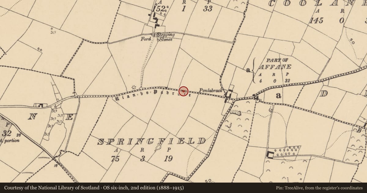 Ordnance Survey six-inch map, 2nd edition (1888–1915) covering the location of Road - road/trackway, County Waterford, with a pin at the register's coordinates