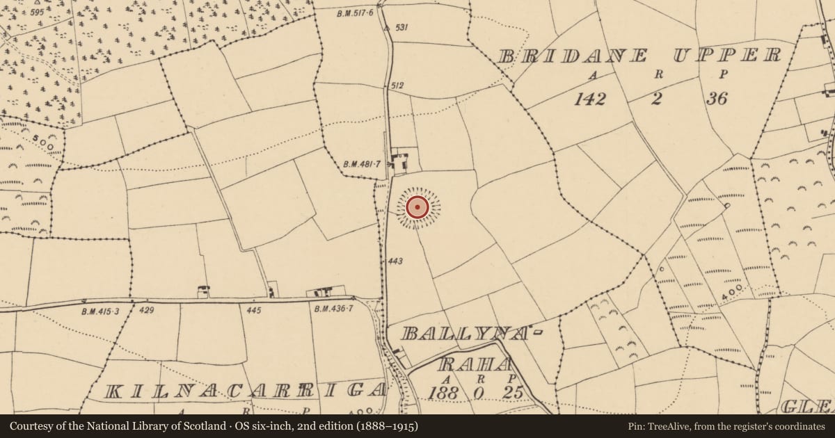 Ordnance Survey six-inch map, 2nd edition (1888–1915) covering the location of Ringfort - unclassified, Ballynaraha, County Waterford, with a pin at the register's coordinates