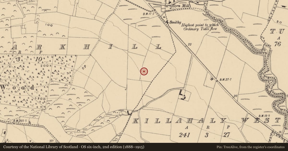 Ordnance Survey six-inch map, 2nd edition (1888–1915) covering the location of Enclosure, Deerparkhill, County Waterford, with a pin at the register's coordinates