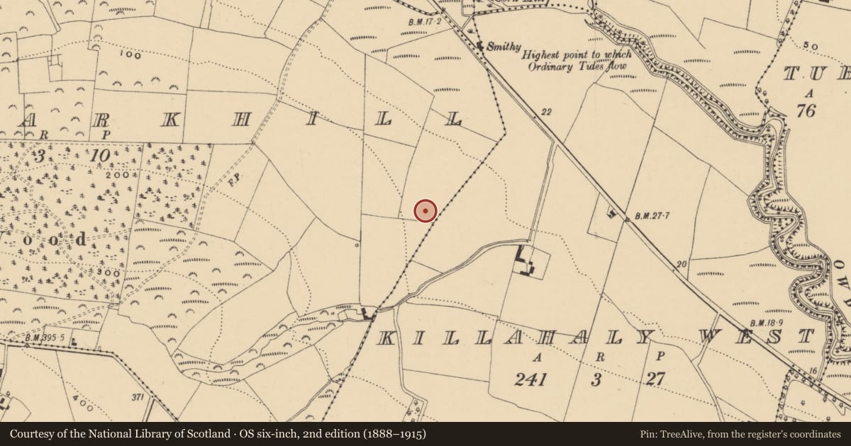 Ordnance Survey six-inch map, 2nd edition (1888–1915) covering the location of Enclosure, Deerparkhill, County Waterford, with a pin at the register's coordinates