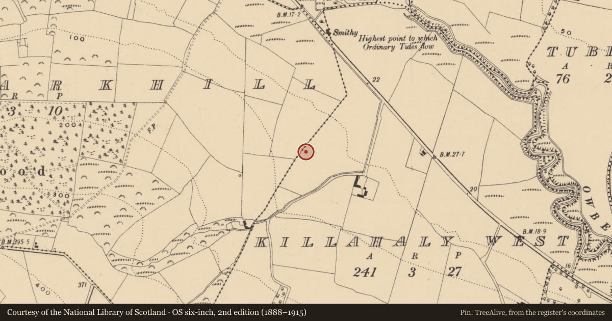 Ordnance Survey six-inch map, 2nd edition (1888–1915) covering the location of Enclosure, Killahaly West, County Waterford, with a pin at the register's coordinates
