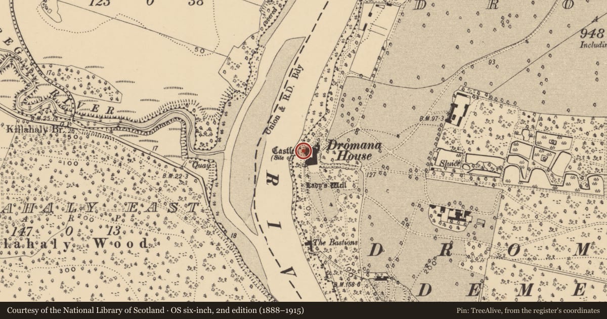 Ordnance Survey six-inch map, 2nd edition (1888–1915) covering the location of Castle - tower house, Dromana, County Waterford, with a pin at the register's coordinates
