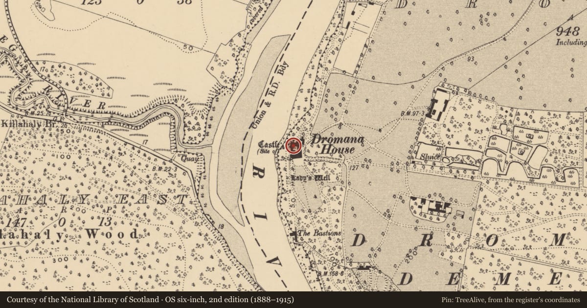 Ordnance Survey six-inch map, 2nd edition (1888–1915) covering the location of House - 17th century, Dromana, County Waterford, with a pin at the register's coordinates
