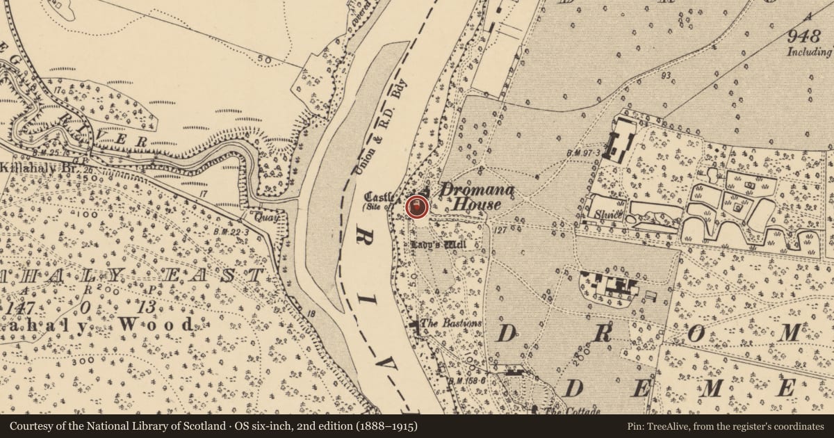 Ordnance Survey six-inch map, 2nd edition (1888–1915) covering the location of Bawn, Dromana, County Waterford, with a pin at the register's coordinates
