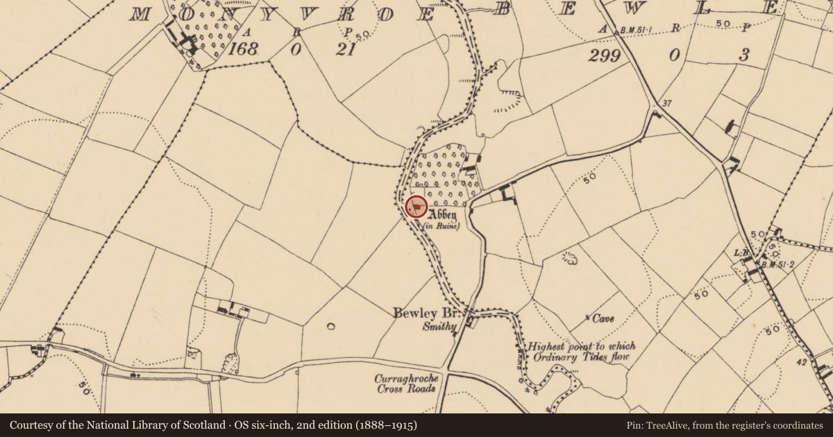 Ordnance Survey six-inch map, 2nd edition (1888–1915) covering the location of Church, Bewley, County Waterford, with a pin at the register's coordinates