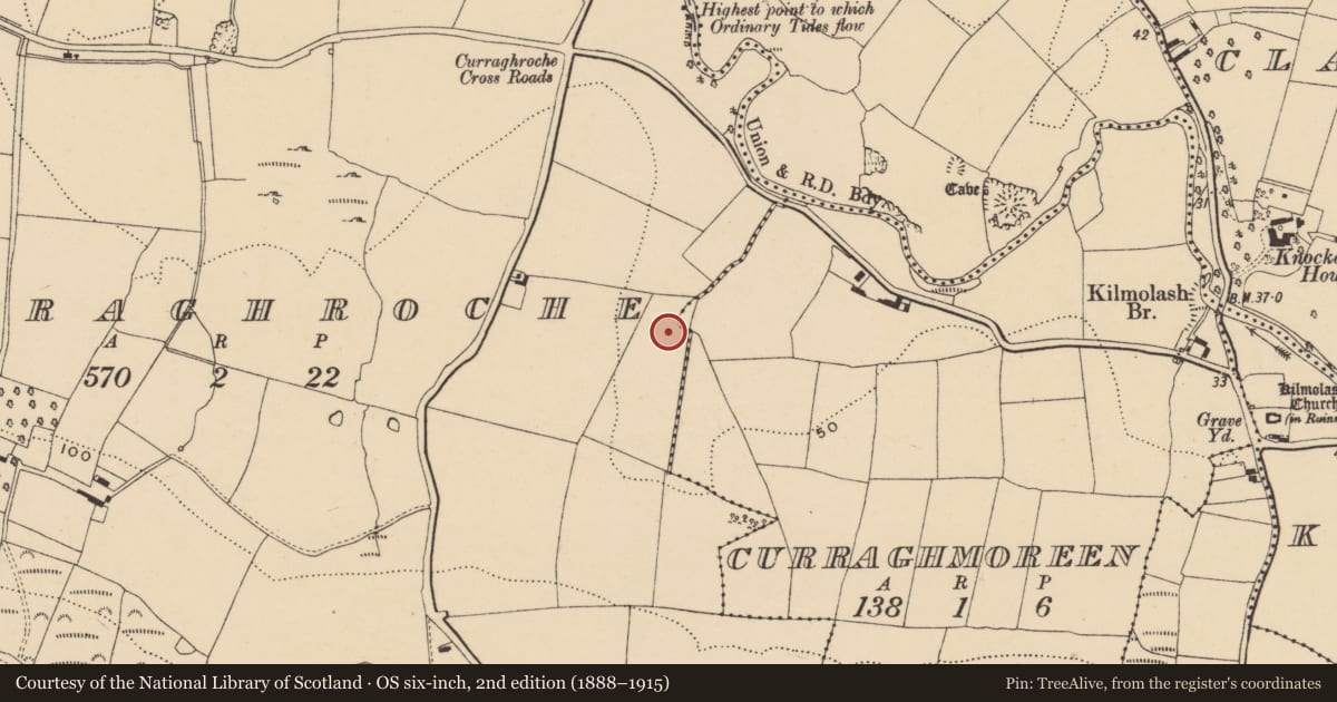 Ordnance Survey six-inch map, 2nd edition (1888–1915) covering the location of Ringfort - unclassified, Curraghroche, County Waterford, with a pin at the register's coordinates