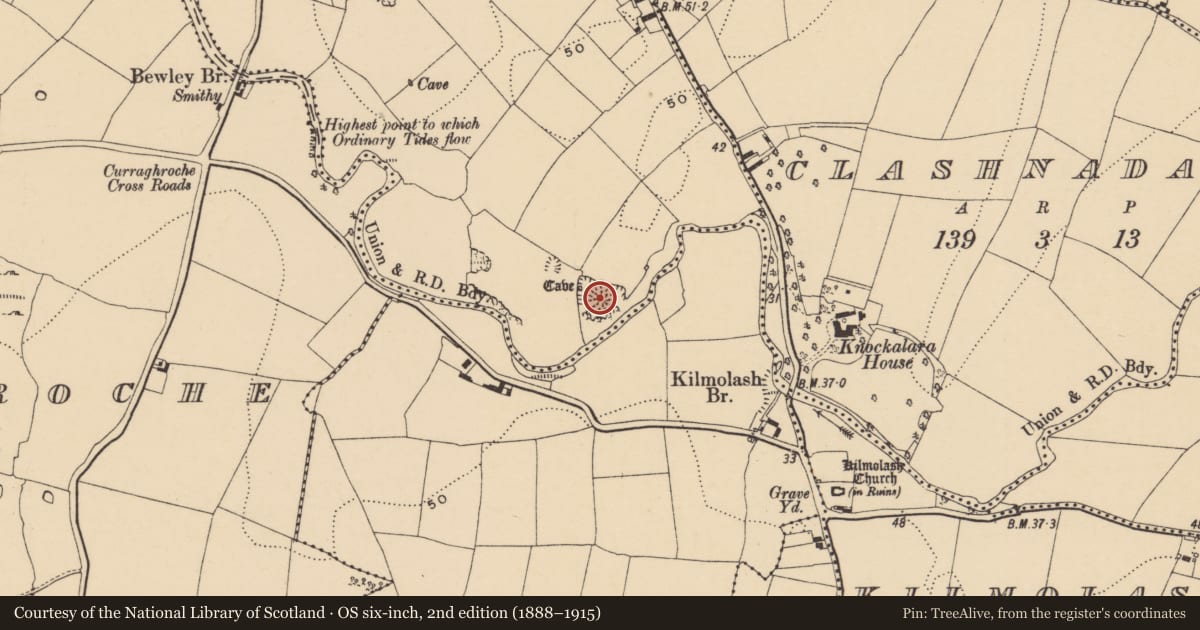 Ordnance Survey six-inch map, 2nd edition (1888–1915) covering the location of Midden, Bewley, County Waterford, with a pin at the register's coordinates